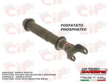 Ammortizzatore posteriore nudo versione fosfato 6313-FS Cif Carbone