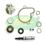 Kit revisione pompa acqua Kymco Downtown 200/300cc AA00833